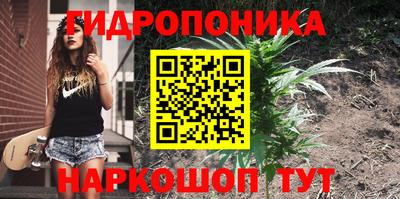 прущие грибы Свободный