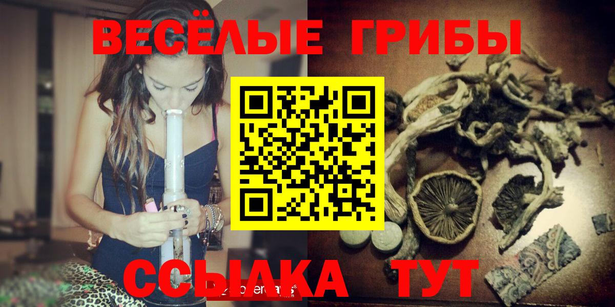 Псилоцибиновые грибы прущие грибы Курган