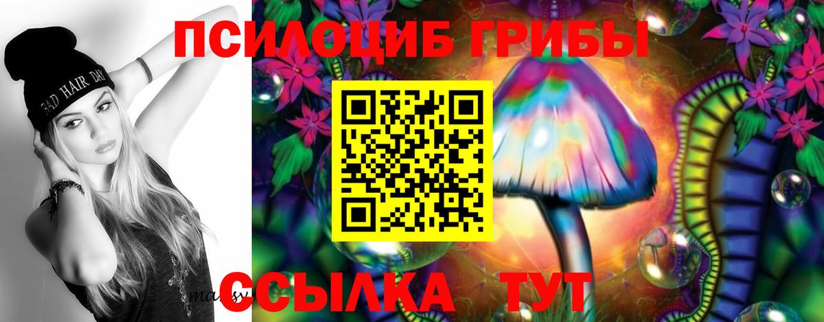 Галлюциногенные грибы мухоморы  Вход с VPN  Курган 
