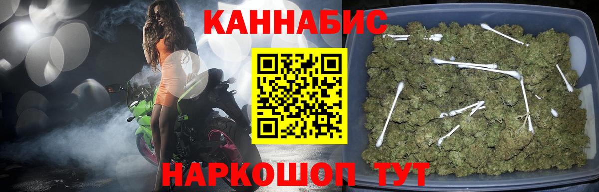 Каннабис план Курган